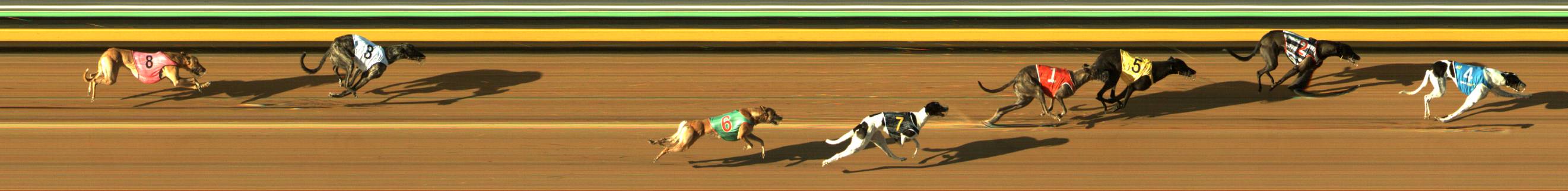 Race result finish photo